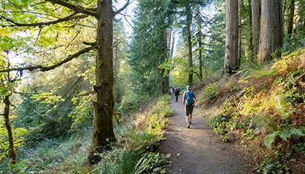 Discovery Park Loop Trail